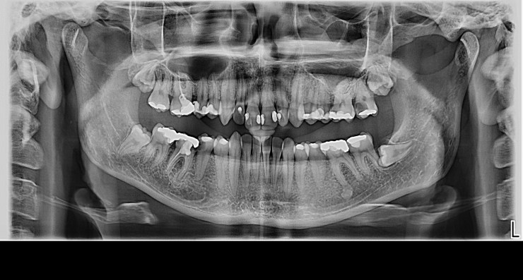 vukanović milica.jpg